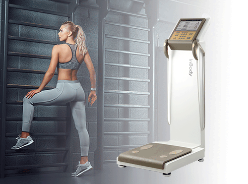 体成分测试系统