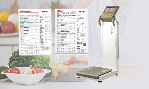 体成分分析系统